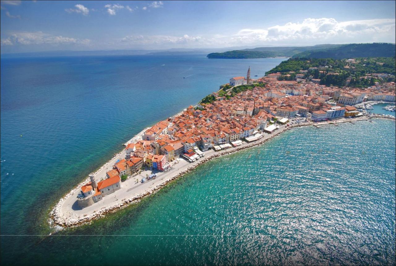 Apartma Veneziana *
