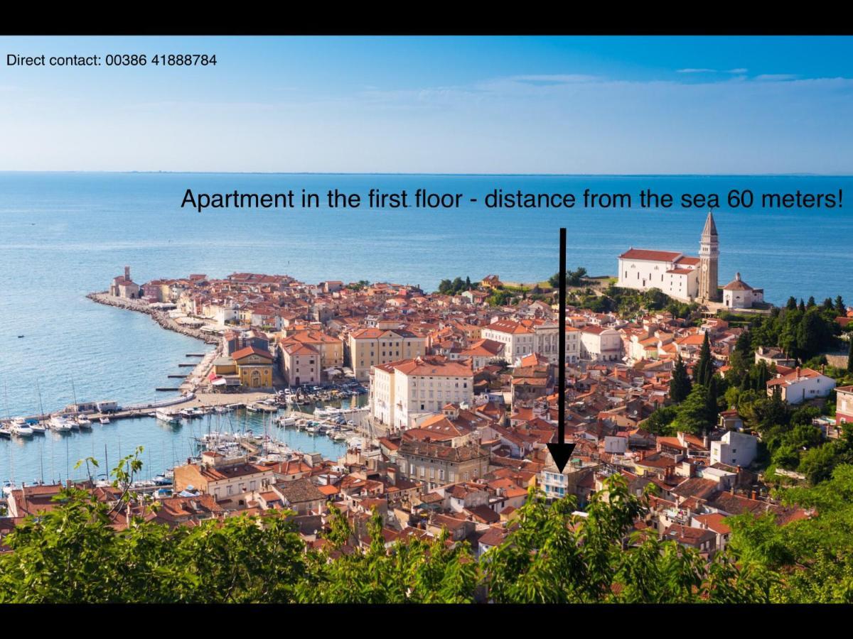 Apartma Veneziana *